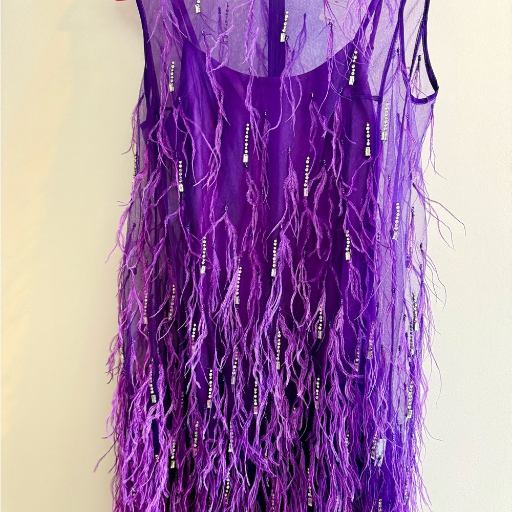 Feather Embellished Elegant Purple Sheer Dress with second piece under dress - Picture 3 of 15
